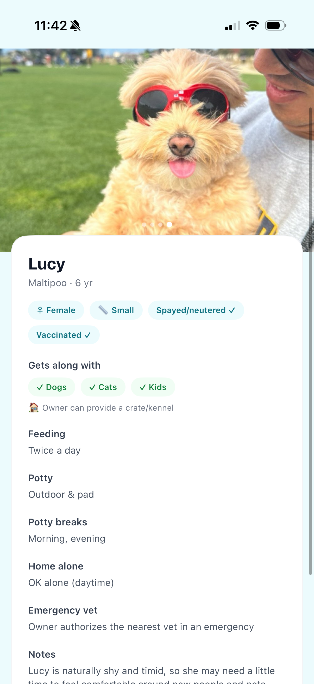 Loulu pet profile showing care routines and compatibility